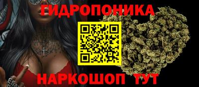 Альфа ПВП Малгобек