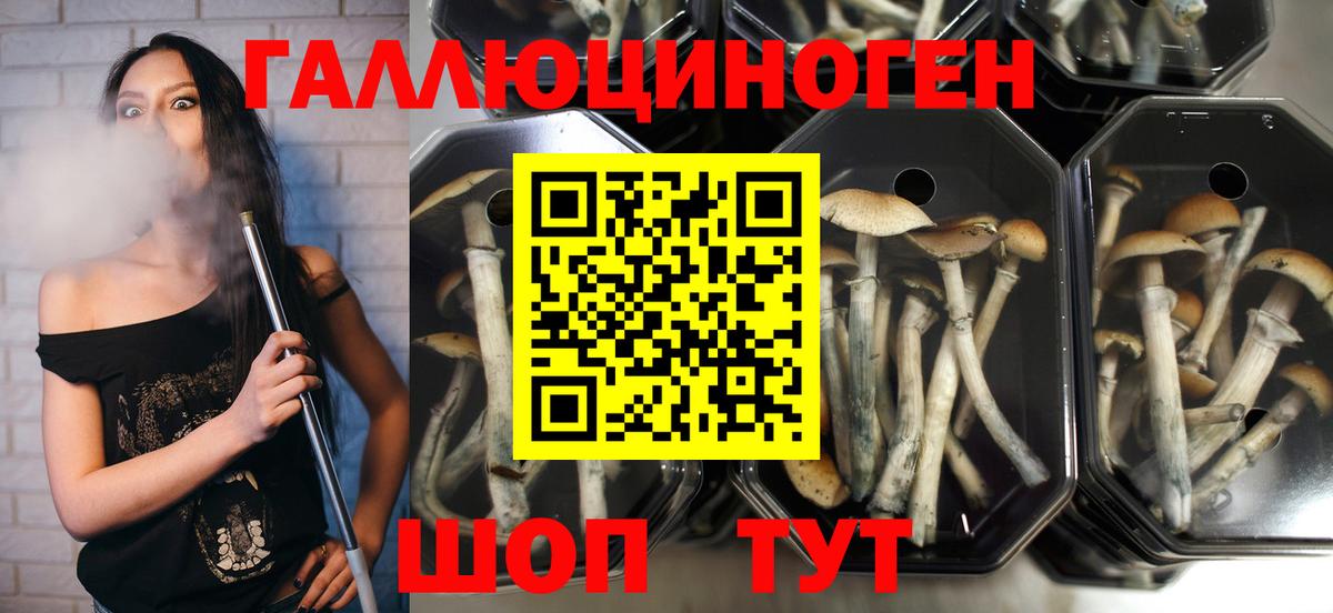 Галлюциногенные грибы мицелий  Вход с VPN  Туймазы 